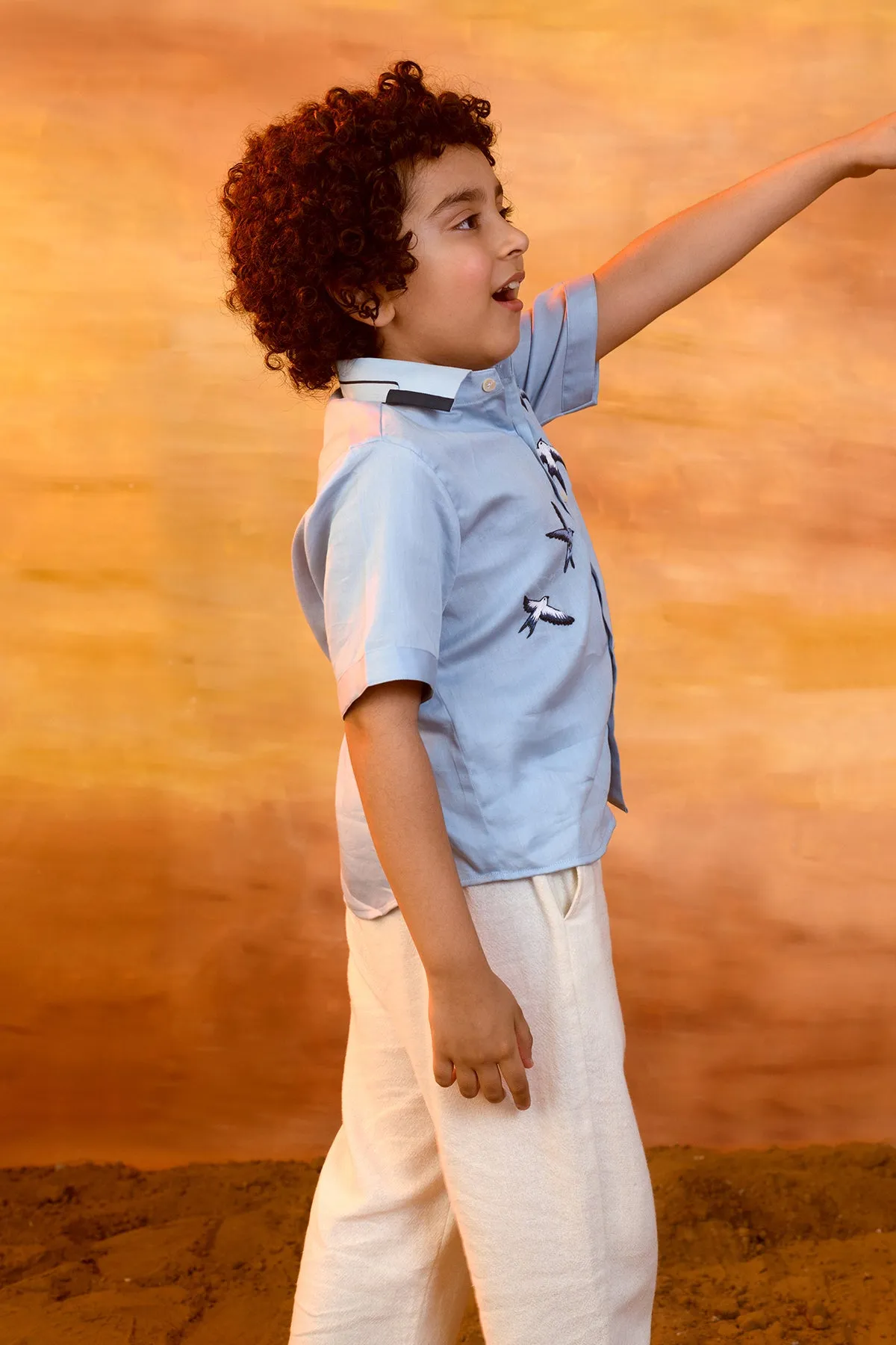 Flier- Hand Embroidered Cotton Satin Half Sleeves Shirt For Boys