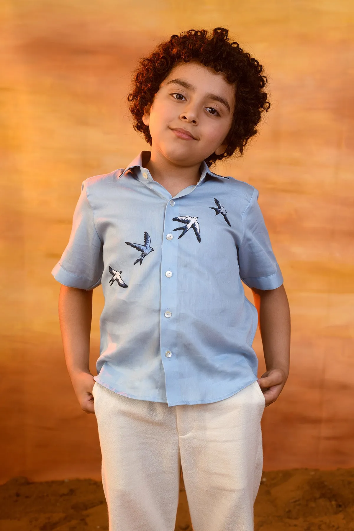 Flier- Hand Embroidered Cotton Satin Half Sleeves Shirt For Boys