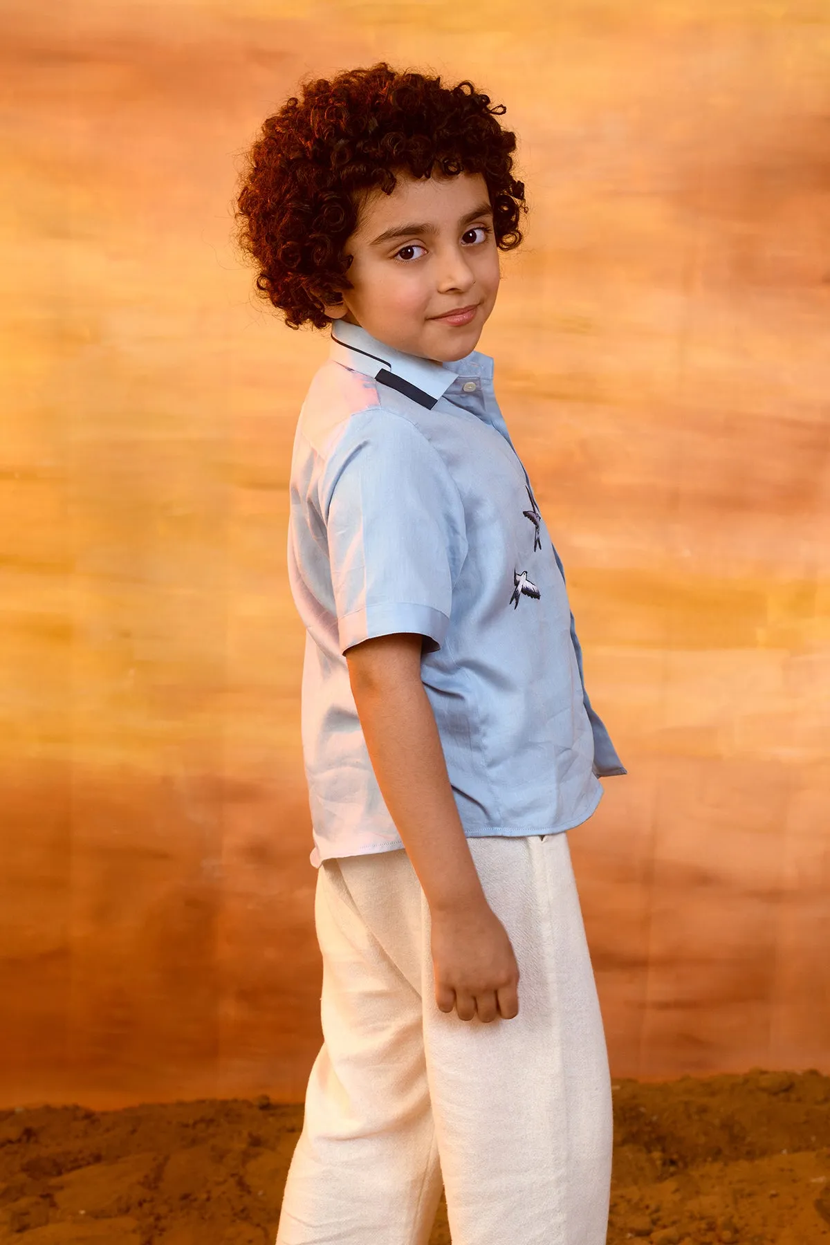 Flier- Hand Embroidered Cotton Satin Half Sleeves Shirt For Boys