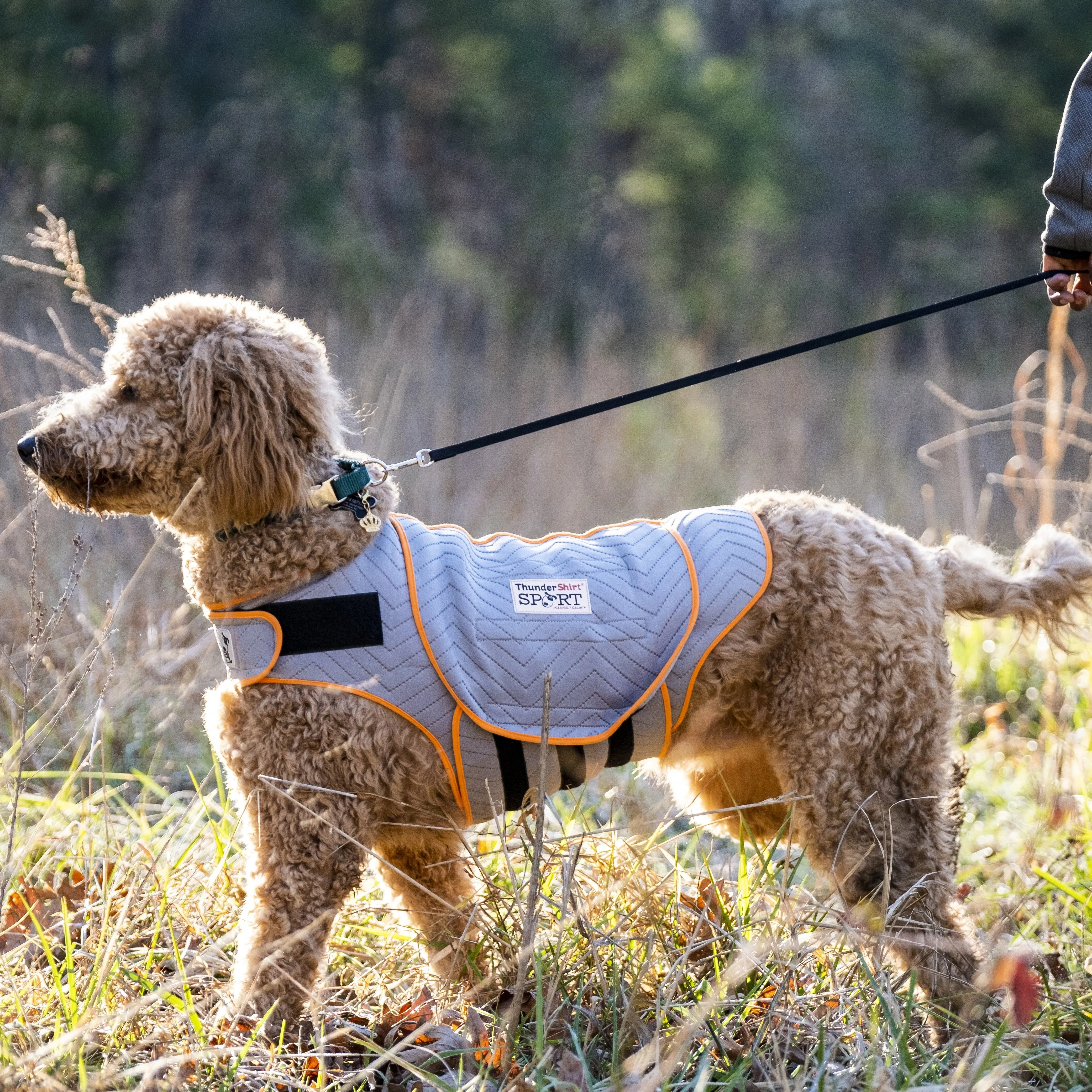 Thunderworks ThunderShirt for Dogs: Platinum Sport